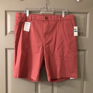 Izod salmon dress shorts